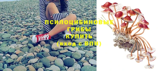 спиды Волоколамск