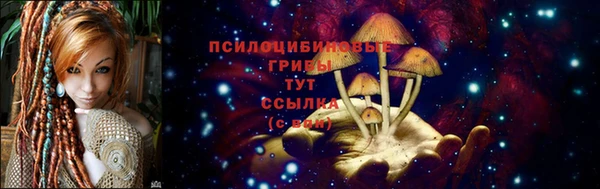 mdpv Володарск