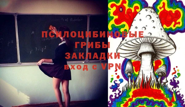 гашик Волосово