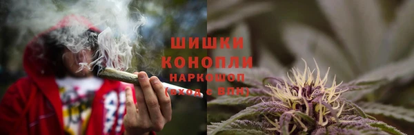 гашик Волосово