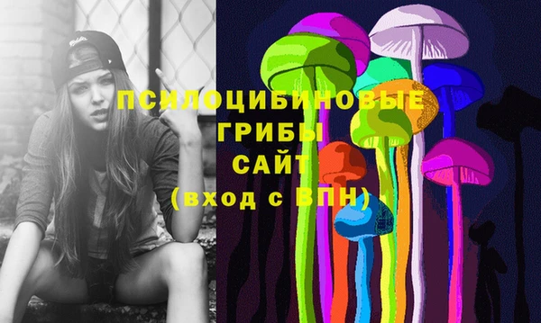 mdpv Володарск