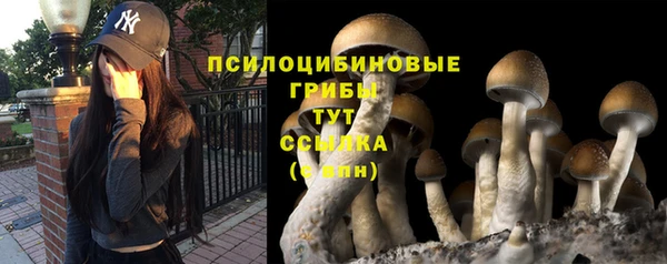 спиды Волоколамск